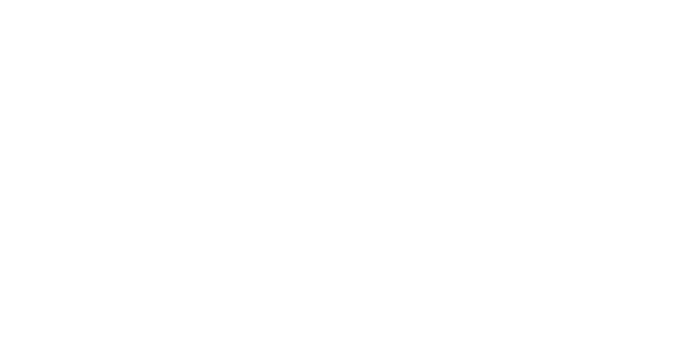 Bedel_10yrLogo_Reg_Horiz_Wt_LG