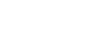 Bedel_Logo_Reg_Horiz_Wt_LG