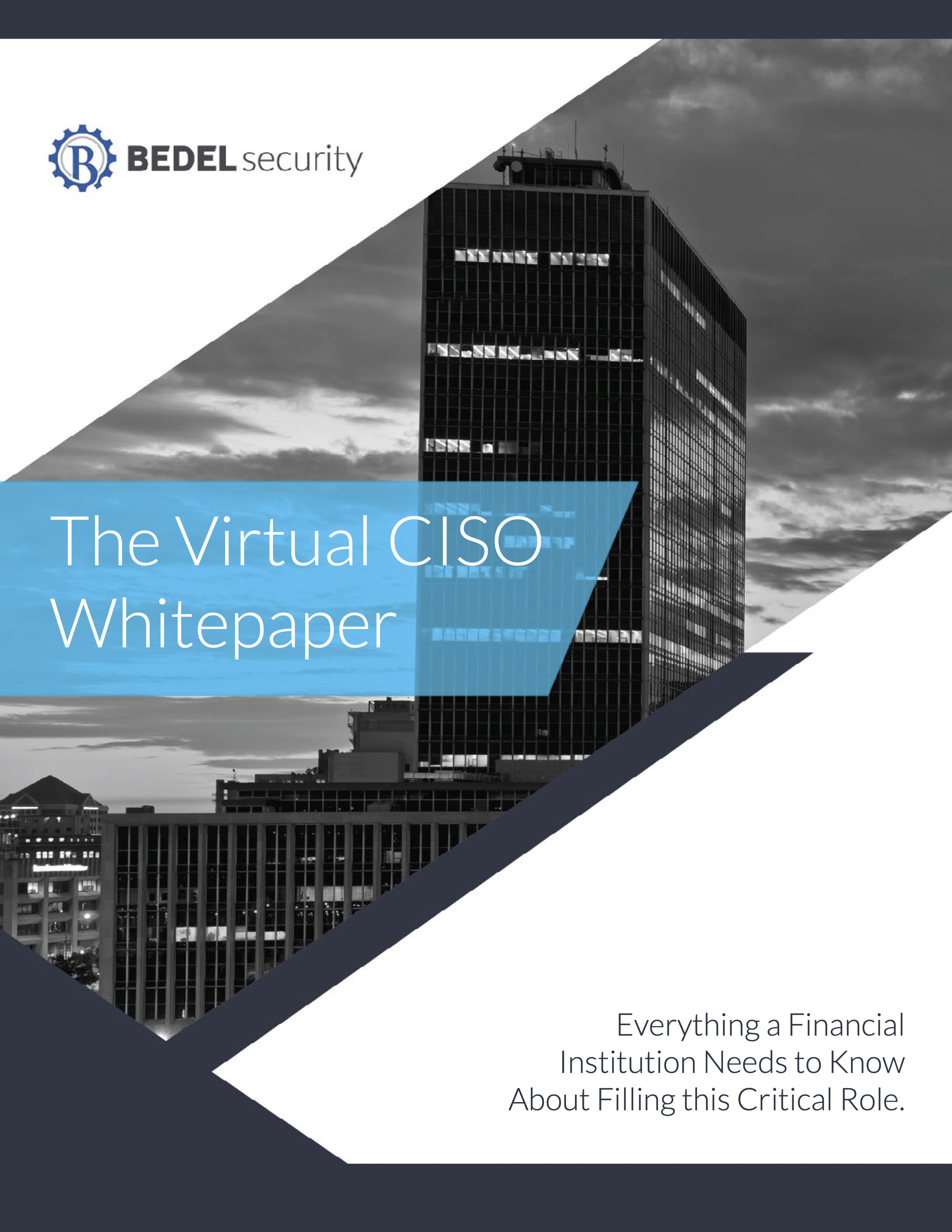 The Virtual CISO Whitepaper